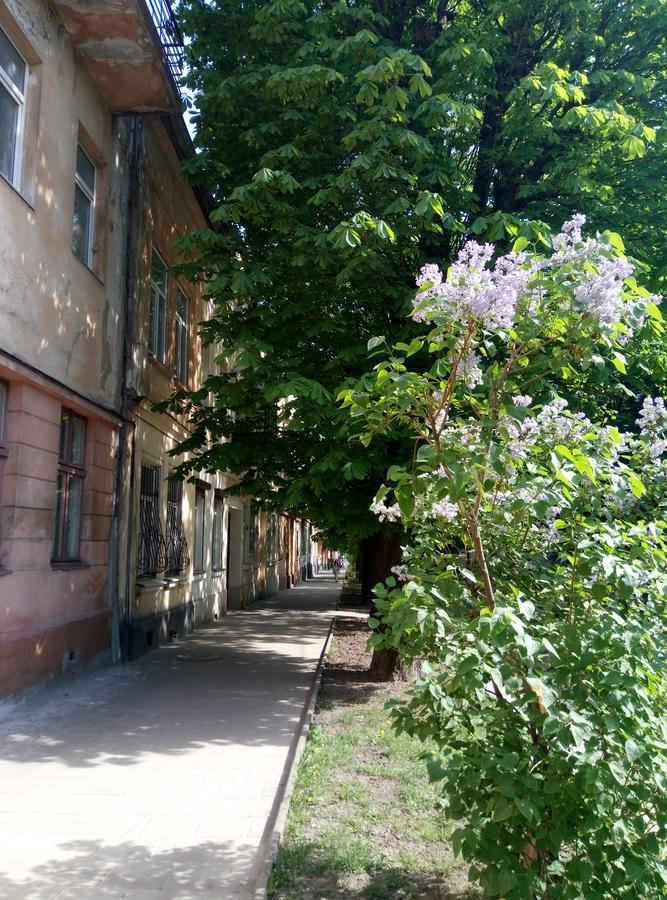 Lviv Appartment On Yaroslava Mudrogo 14 Exterior photo